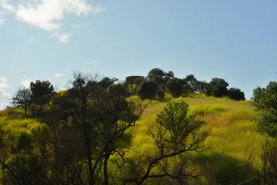 DSC_6455 (Large).JPG